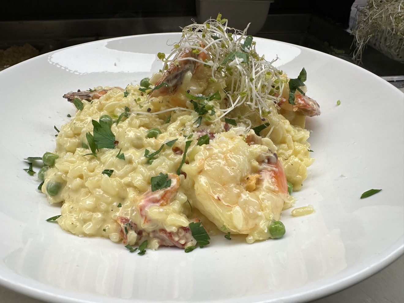 Shrimp Risotto